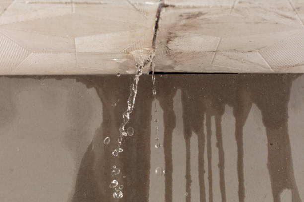 Professional Water Damage Repair technician working in Three Bridges, NJ